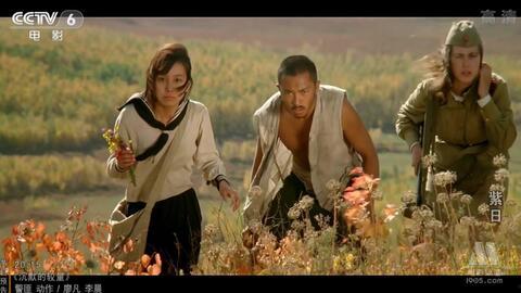 紫日电影在线观看免费,免费在线观看，探寻战火中的青春记忆  第1张