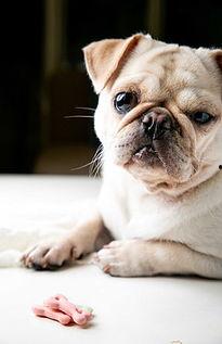 策划巴哥最新爆料,揭秘策划界的神秘力量  第1张