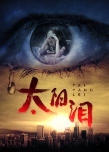 太阳泪在线观看,穿越时空的感人之旅  第3张