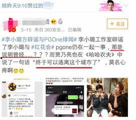 娱乐圈最新爆料辟谣,真相与谣言的较量  第2张