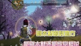 黎明觉醒最新典藏爆料,典藏爆料揭秘，全新篇章即将开启！  第2张