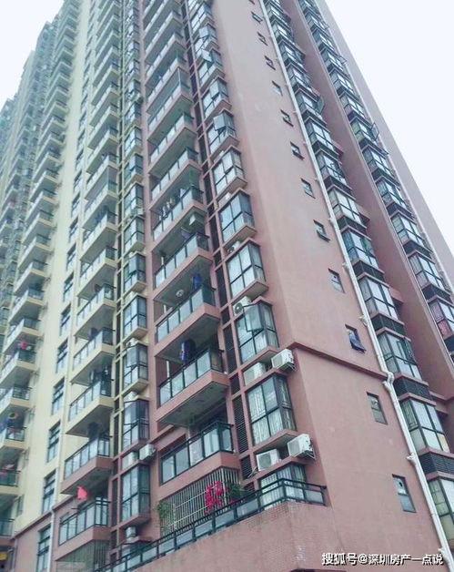 深圳胡先生最新爆料,揭秘事件背后惊人真相  第2张